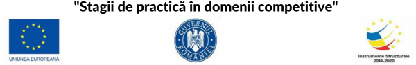 Stagii de practică în domenii competitive